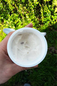 Siggi's Skyr jogurt jagoda 1
