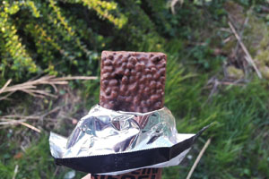 protein riegel čokoladica 2