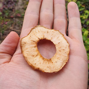 čips-od-jabuke-velis