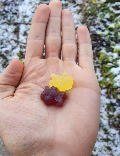 protein-gums-kalorije